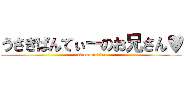 うさぎぱんてぃーのお兄さん♥ (attack on titan)