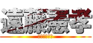 遠藤憲孝 (ＳＩＮＤＯＨ)
