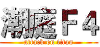 潮庭Ｆ４ (attack on titan)