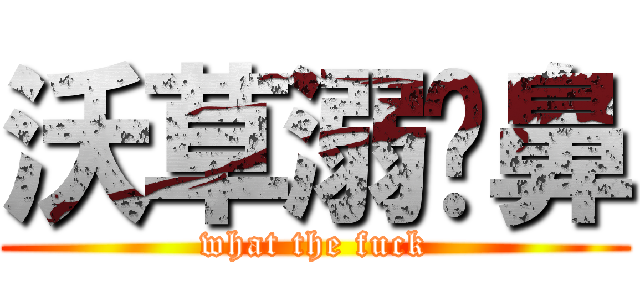 沃草溺马鼻 (what the fuck)