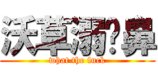 沃草溺马鼻 (what the fuck)