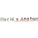 Ｈｏｒｉｅ'ｓ Ａｎａｔｏｍｙ (ULTIMATE)