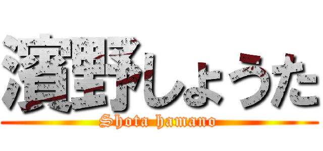 濱野しょうた (Shota hamano)