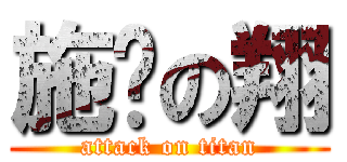 施谦の翔 (attack on titan)