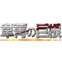 韋菁の巨根 (attack on titan)