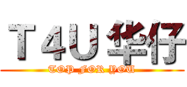 Ｔ４Ｕ 华仔 (TOP FOR YOU)