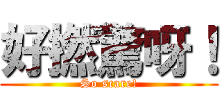 好撚驚呀！ (So scare!)