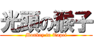 光頭の猴子 (Monkey in Tapei)