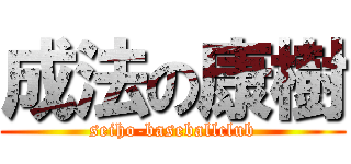 成法の康樹 (seiho-baseballclub)