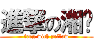 進撃の湘芷 (frog with yellow)