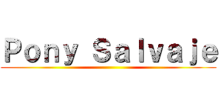 Ｐｏｎｙ Ｓａｌｖａｊｅ ()