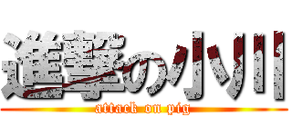 進撃の小川 (attack on pig)