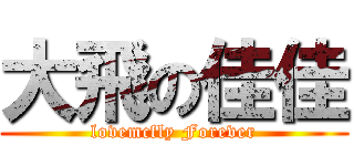 大飛の佳佳 (lovemcfly Forever)