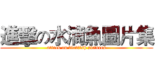 進擊の水滴魚圖片集 (attack on blobfish pictures)