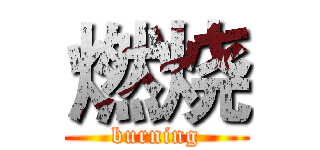 燃烧 (burning)