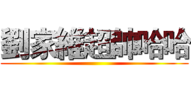 劉家維超帥哈哈 ()