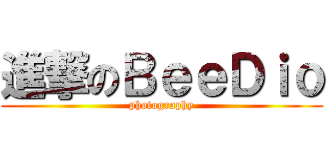 進撃のＢｅｅＤｉｏ (photography)