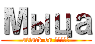 Мыца (attack on Денис)
