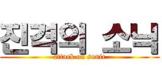 진격의 소닉 (attack on sonic)