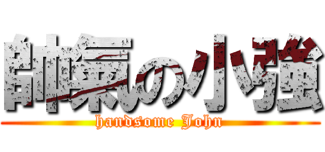 帥氣の小強 (handsome John)