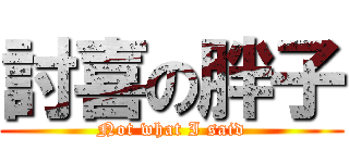 討喜の胖子 (Not what I said)