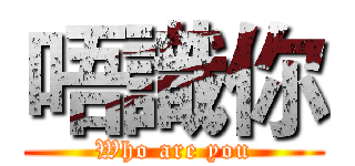 唔識你 (Who are you)