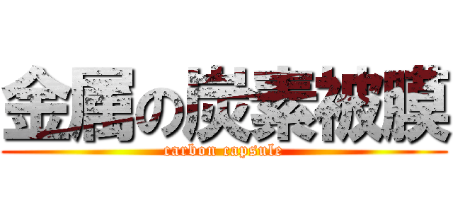 金属の炭素被膜 (carbon capsule)