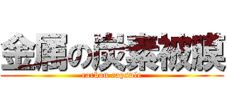 金属の炭素被膜 (carbon capsule)