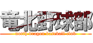 竜北野球部 (north dragon baseball club)