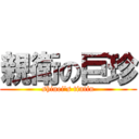 親衛の巨珍 (shinei's tintin)