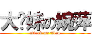 大摳妹の婉萍 (attack on titan)