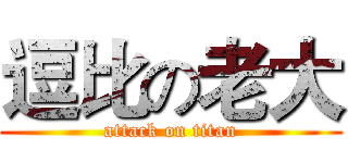 逗比の老大 (attack on titan)