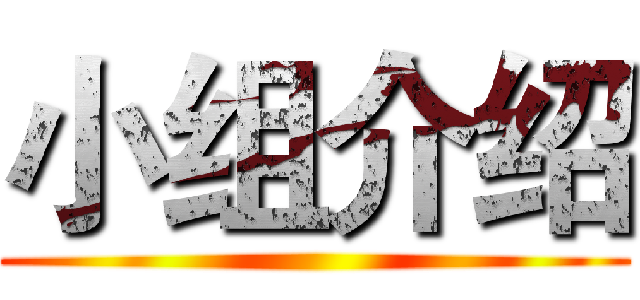 小组介绍 ()