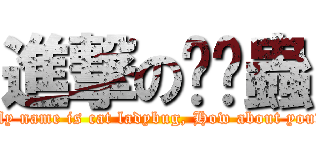 進撃の貓貓蟲 (My name is cat ladybug, How about you?)