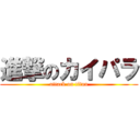 進撃のカイパラ (attack on titan)