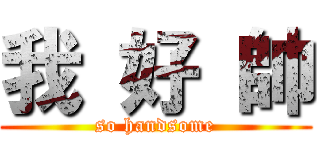 我 好 帥 (so handsome)