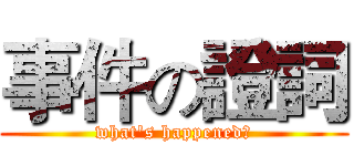 事件の證詞 (what's happened?)