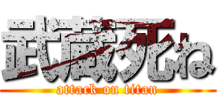 武蔵死ね (attack on titan)