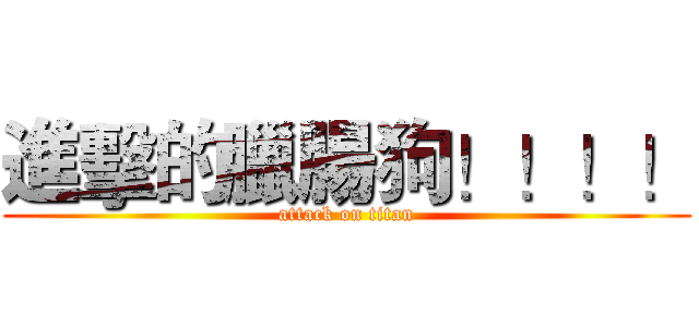 進擊的臘腸狗！！！！ (attack on titan)