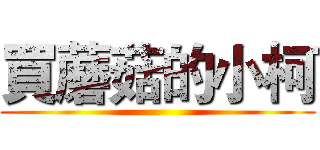 買蘑菇的小柯 ()