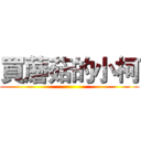 買蘑菇的小柯 ()