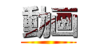 動画 ()
