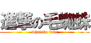 進撃の毛蜘蛛 (what the fukc)