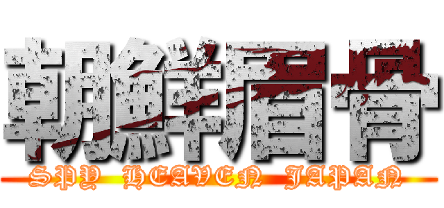 朝鮮眉骨 (SPY  HEAVEN  JAPAN)