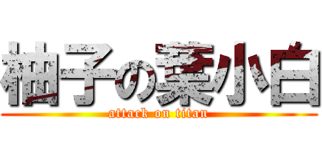 柚子の葉小白 (attack on titan)