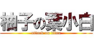 柚子の葉小白 (attack on titan)