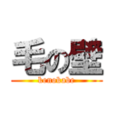 毛の壁 (kenokabe)