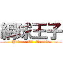 網球王子 (Prince  Of  Tennis)