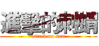 進擊的刺蝟 (attack on sam)