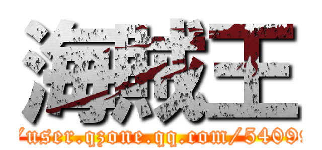 海賊王 (http://user.qzone.qq.com/540991198)